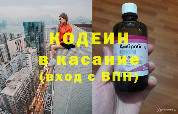 стафф Иннополис