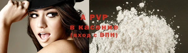 дживик Инсар