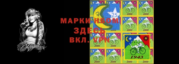 стафф Иннополис