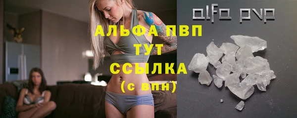 стафф Иннополис