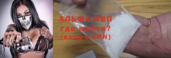 дживик Инсар