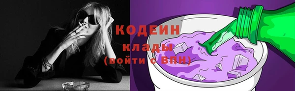 стафф Иннополис
