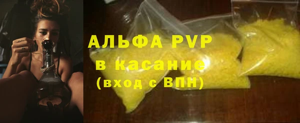 стафф Иннополис