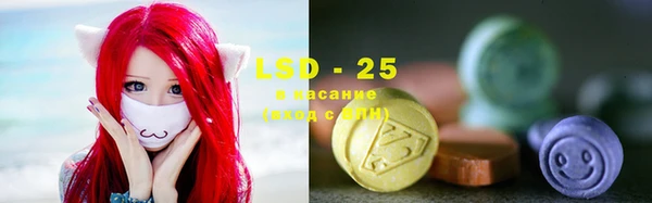 стафф Иннополис