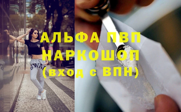 дживик Инсар