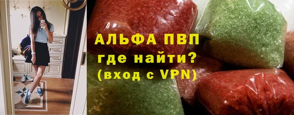 стафф Иннополис