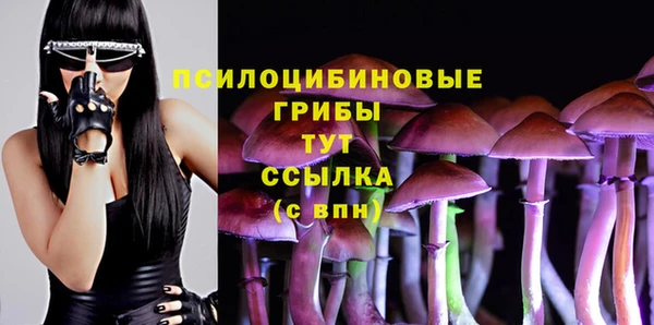 стафф Иннополис