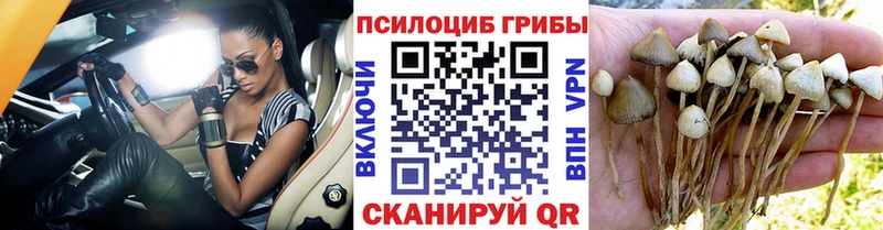 Псилоцибиновые грибы GOLDEN TEACHER  Купить  Баймак 